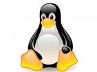 Обслуживание сервера (ОС Linux, FreeBSD, Unix)